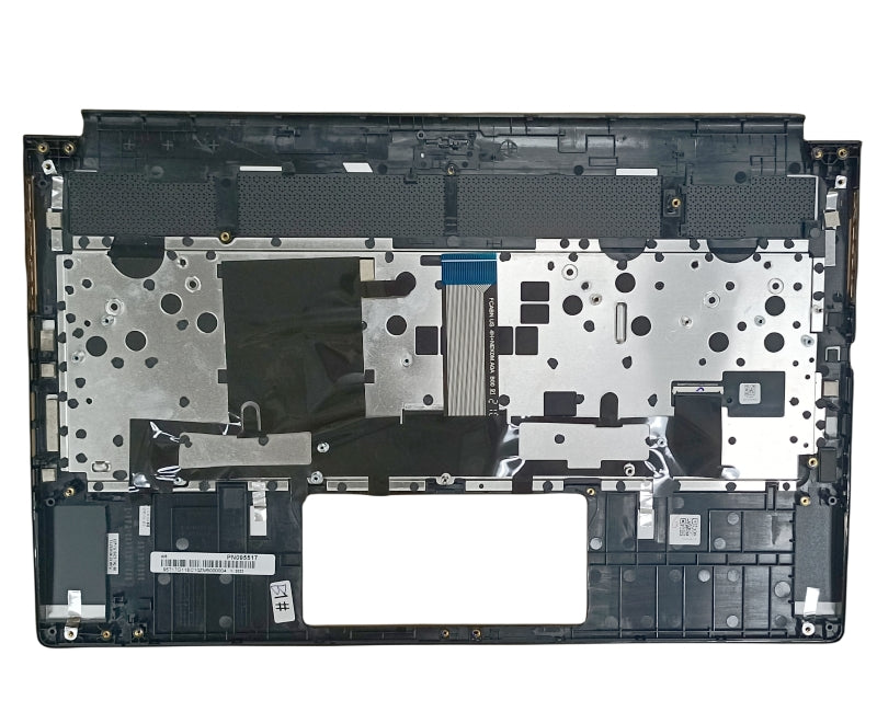 MSI KEYBOARD (957-17G11E-C10)